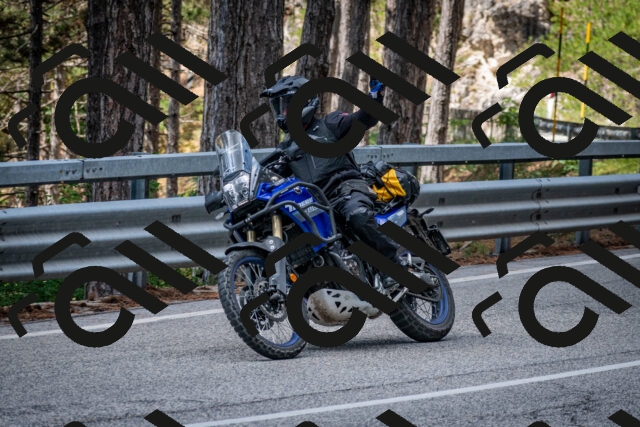 202508231151-DSC_6679_c2