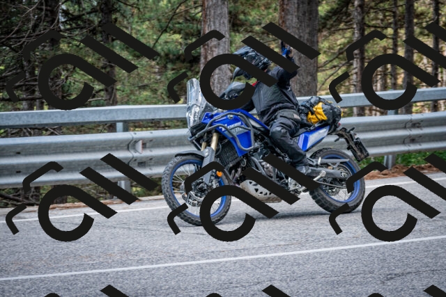 202508231151-DSC_6680_c2