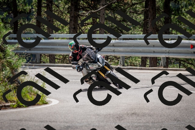 202508231156-DSC_6709_c2