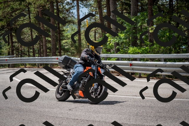 202508231157-DSC_6713_c2