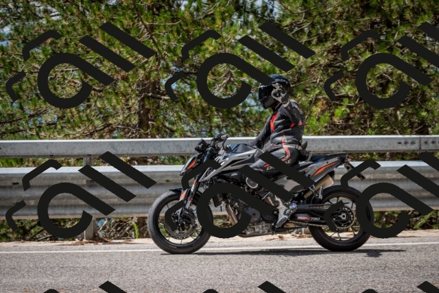 202508231202-DSC_6728_c2