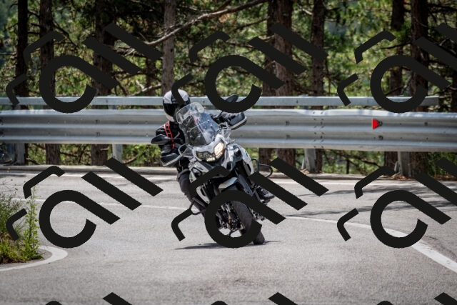 202508231203-DSC_6730_c2