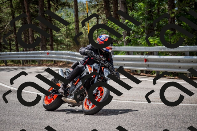 202508231206-DSC_6741_c2