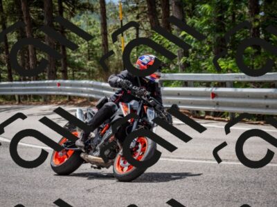 202508231206-DSC_6741_c2