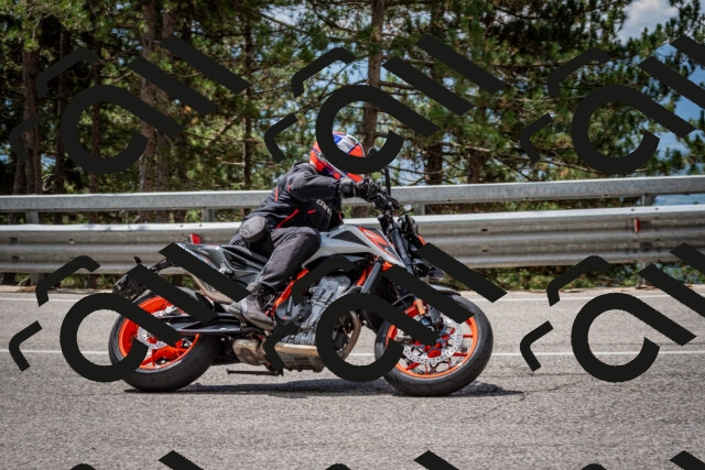 202508231206-DSC_6742_c2