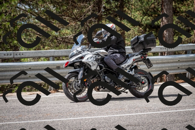 202508231206-DSC_6745_c2