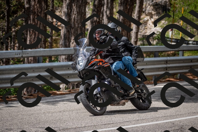 202508231207-DSC_6748_c2