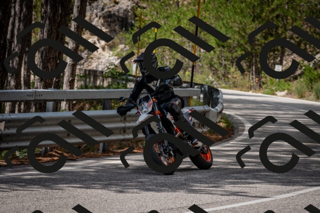 202508231209-DSC_6763_c2