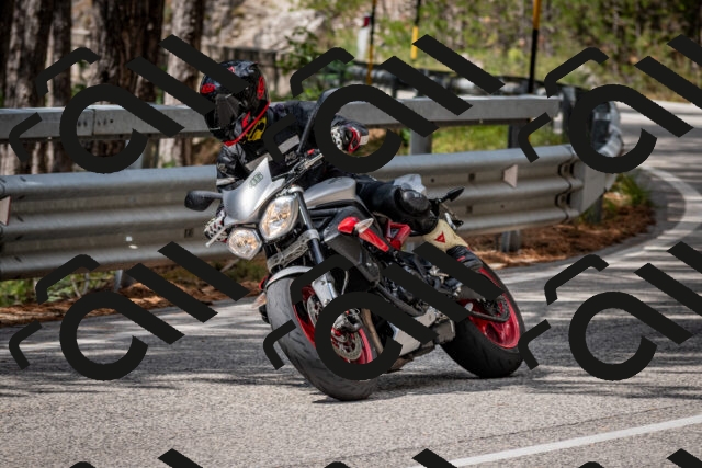 202508231210-DSC_6769_c2