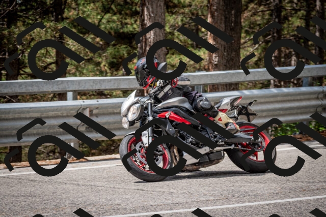 202508231210-DSC_6770_c2