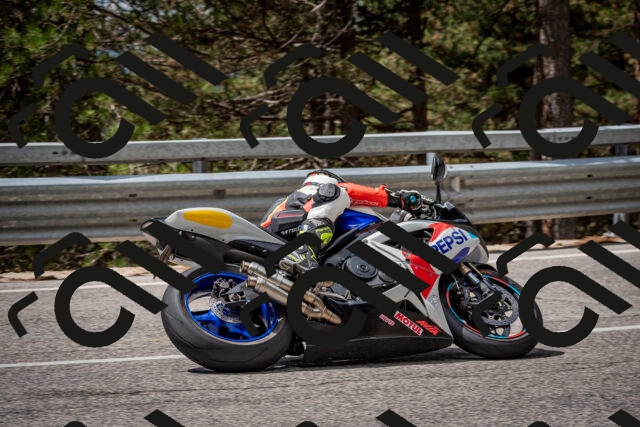 202508231210-DSC_6776_c2