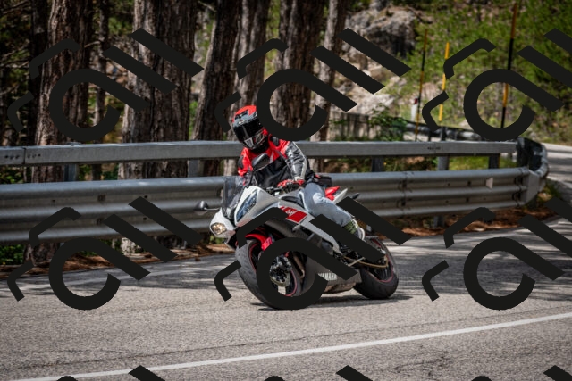 202508231210-DSC_6777_c2