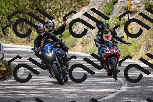 202508231214-DSC_6790_c2