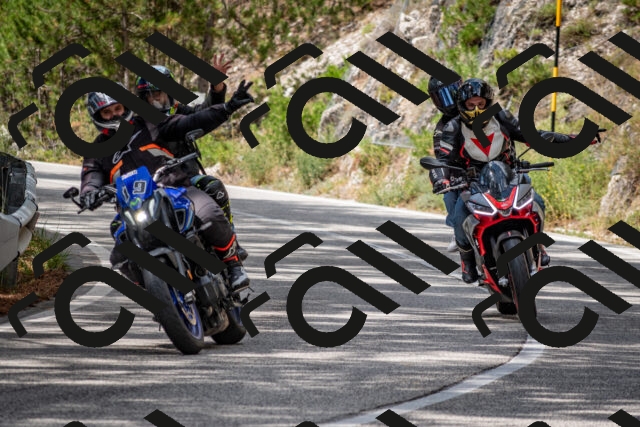 202508231214-DSC_6791_c2