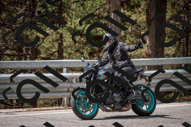 202508231215-DSC_6803_c2