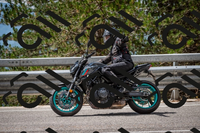 202508231215-DSC_6804_c2