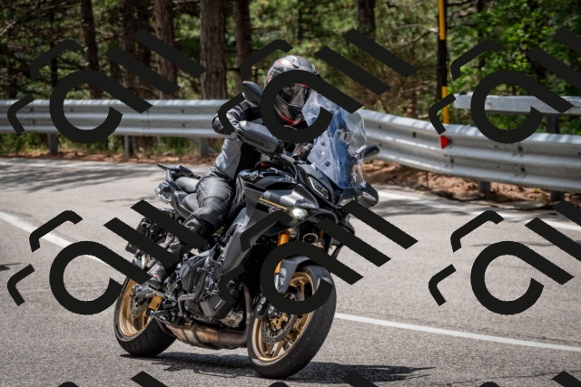 202508231217-DSC_6805_c2