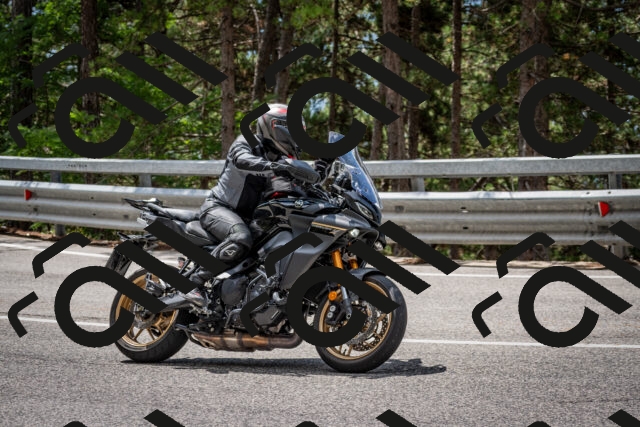 202508231217-DSC_6807_c2