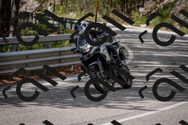 202508231217-DSC_6811_c2