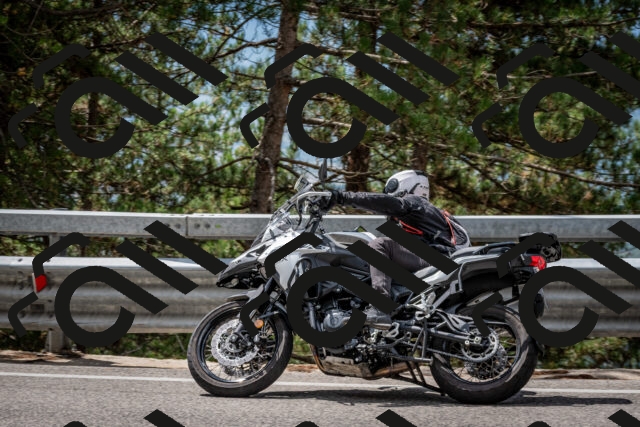 202508231217-DSC_6813_c2