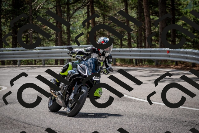 202508231219-DSC_6824_c2