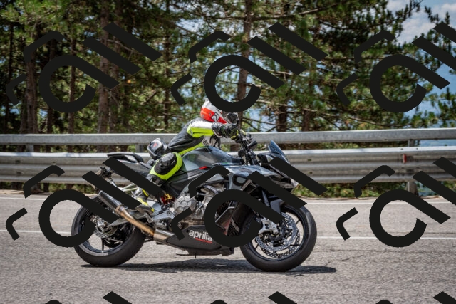 202508231219-DSC_6826_c2