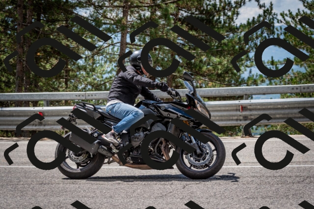 202508231221-DSC_6832_c2