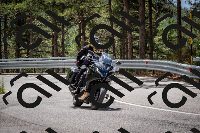 202508231223-DSC_6838_c2