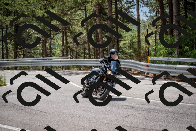 202508231224-DSC_6841_c2