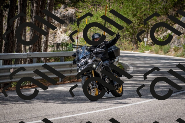 202508231225-DSC_6845_c2