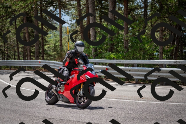 202508231225-DSC_6851_c2