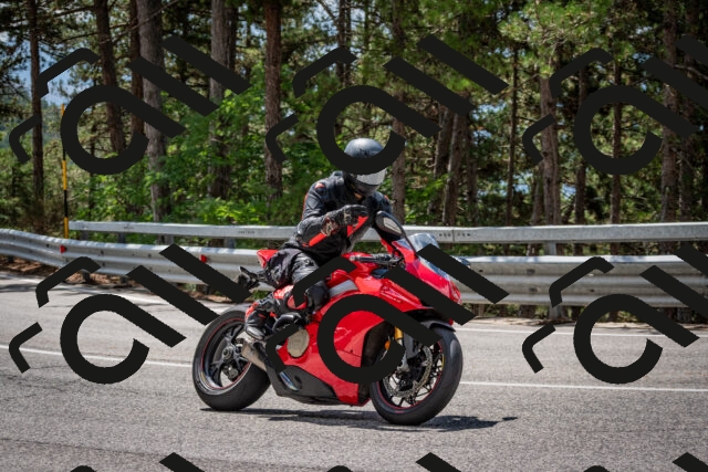 202508231225-DSC_6852_c2