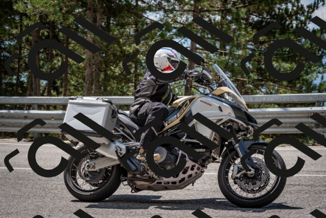 202508231226-DSC_6854_c2