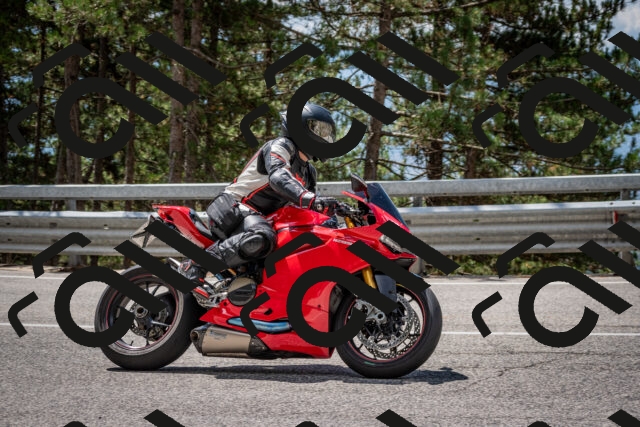 202508231226-DSC_6857_c2