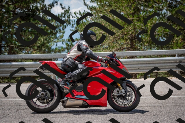 202508231226-DSC_6858_c2