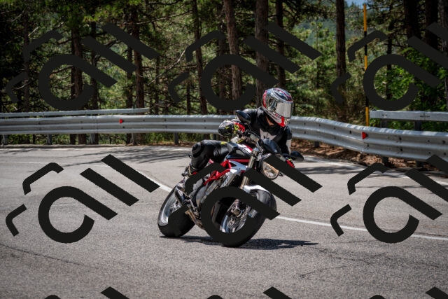 202508231226-DSC_6859_c2