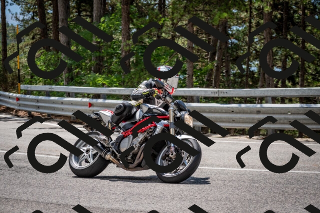 202508231226-DSC_6860_c2