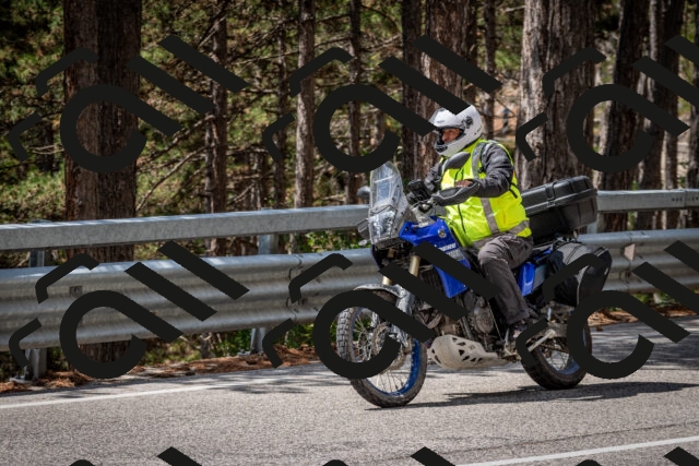 202508231226-DSC_6862_c2