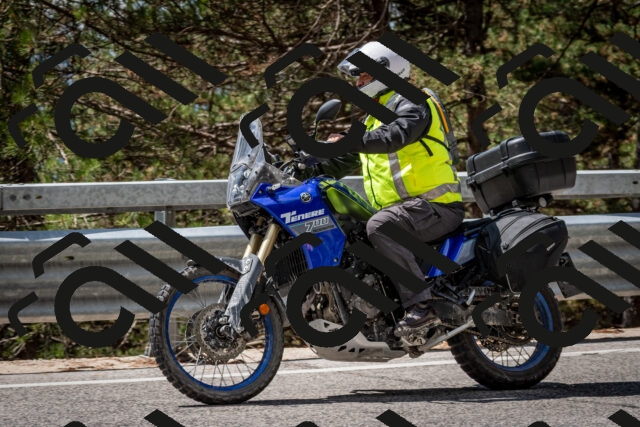 202508231226-DSC_6863_c2