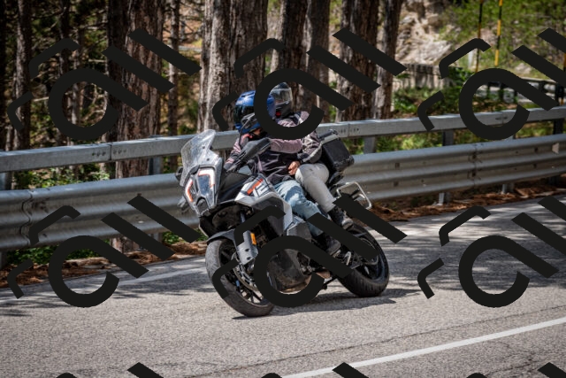 202508231228-DSC_6865_c2