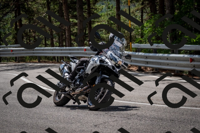 202508231229-DSC_6868_c2