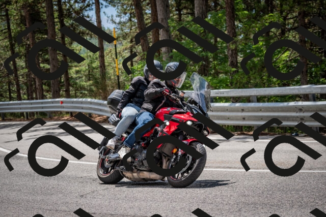 202508231231-DSC_6872_c2