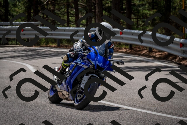 202508231232-DSC_6875_c2