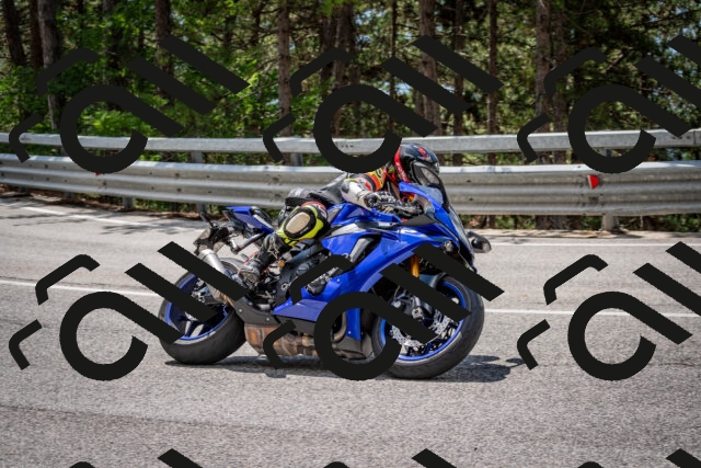 202508231232-DSC_6879_c2