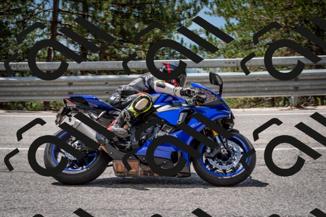 202508231232-DSC_6880_c2