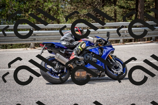 202508231232-DSC_6881_c2