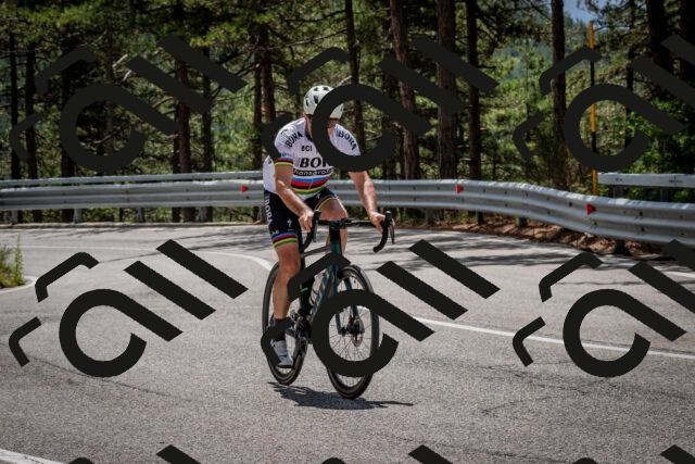 202508231233-DSC_6882_c2