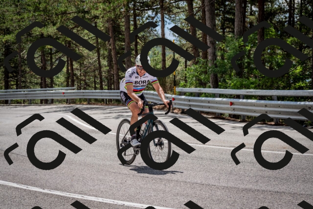 202508231233-DSC_6883_c2