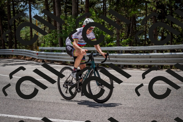 202508231234-DSC_6884_c2