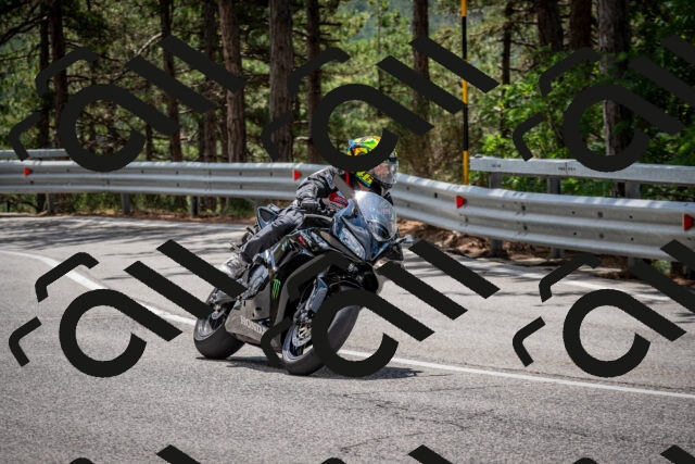 202508231236-DSC_6888_c2